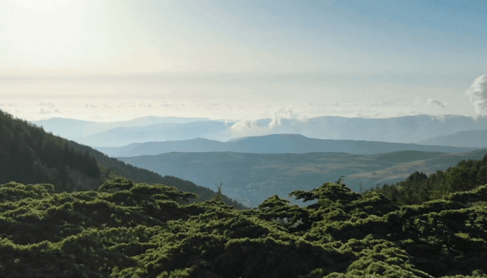 Barouk Water - Brand Creation for Lebanon’s Premium Sustainable Mineral Water