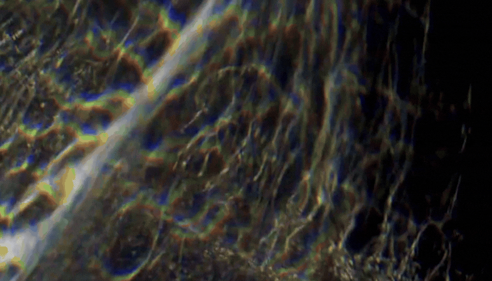 SEFF - Turning Breakthrough Fiber Innovation into a Market-Ready Global Brand